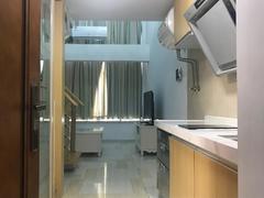 远洋新干线一期 龙岗地铁阔景大宅双园林无边际游泳池配套