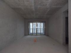 丽日君颐家园 4室2厅1厨2卫 132.0m² 毛坯