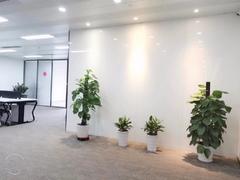 安吉尔大厦 精装修 4+1格局 带家私 前台大气