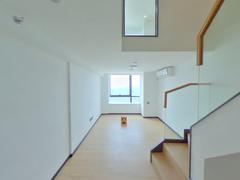 龙光玖钻 2室1厅1厨1卫 39.0m² 整租